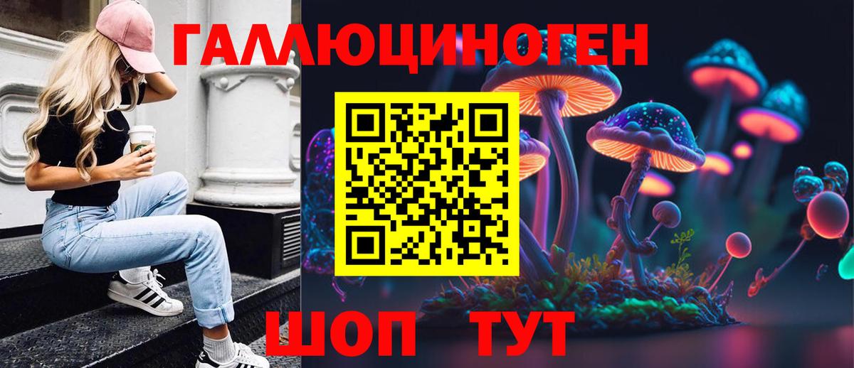 Псилоцибиновые грибы Cubensis Таганрог
